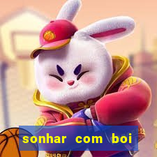 sonhar com boi jogo do bicho